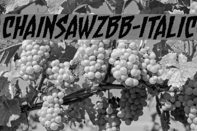 ChainsawzBB-Italic Polices examples