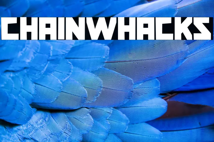 Chainwhacks Example 1