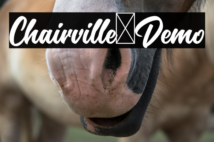 Chairville-Demo Example 3