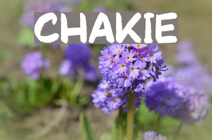 Chakie Font examples