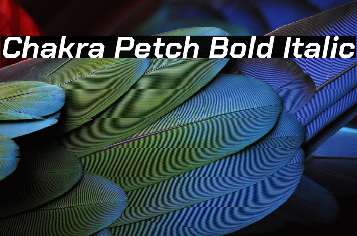 Chakra Petch Bold Italic Font examples