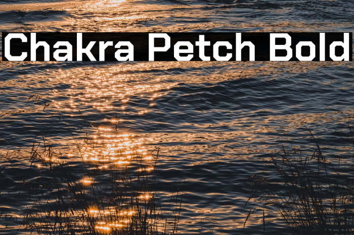 Chakra Petch Bold Font examples