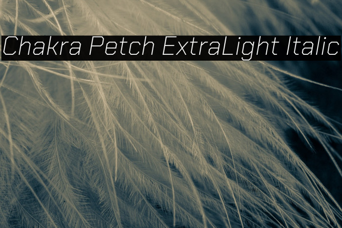 Chakra Petch ExtraLight Italic Font examples