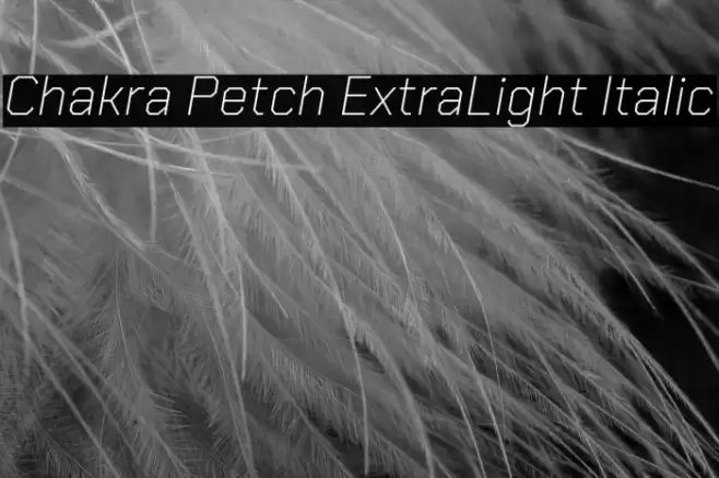 Chakra Petch ExtraLight Italic Font examples