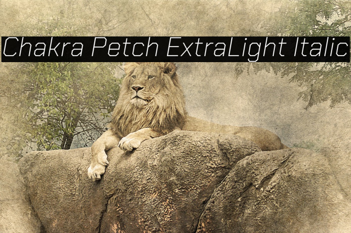 Chakra Petch ExtraLight Italic Font examples