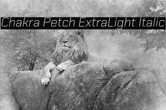 Chakra Petch ExtraLight Italic Font examples