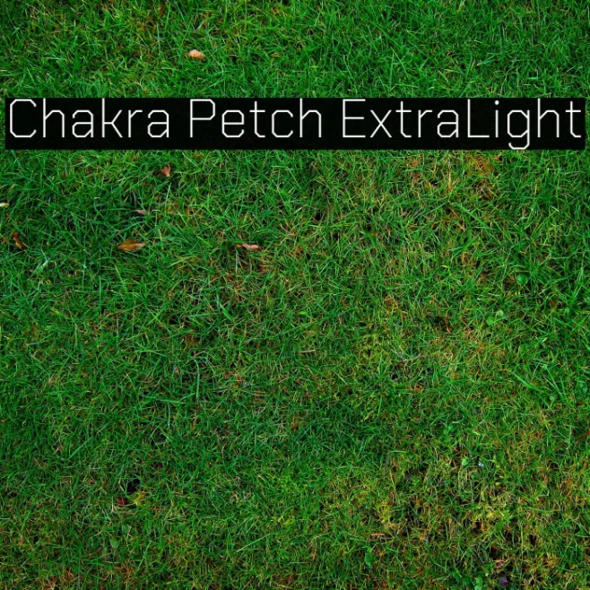 Chakra Petch ExtraLight Example 3