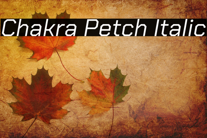 Chakra Petch Italic Font examples