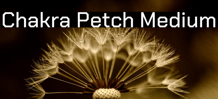 Chakra Petch Medium Font examples