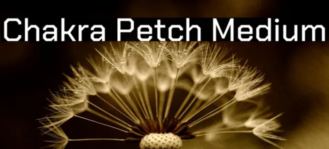 Chakra Petch Medium Example 2