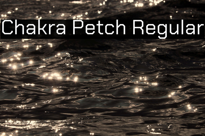 Chakra Petch Regular Font examples