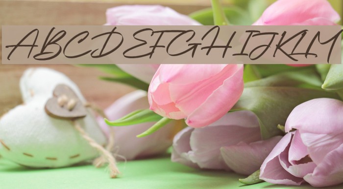 Chalifor Dalsatic VEKTOR Font examples