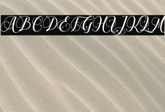 Chalisa Oktavia Example 3