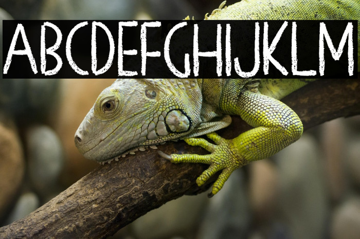 Chalk Board Example 3