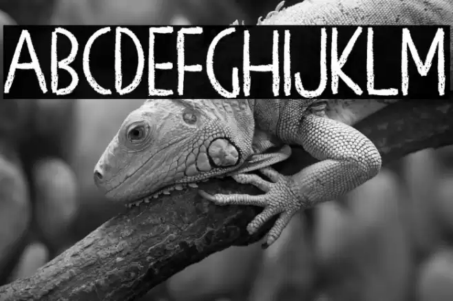 Chalk Board Font examples