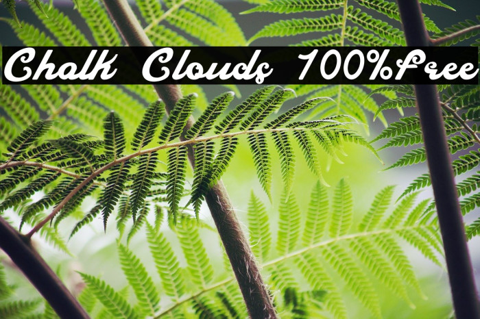 Chalk Clouds 100%Free Font examples