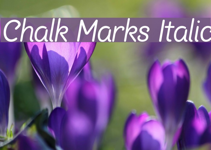 Chalk Marks Italic Font examples