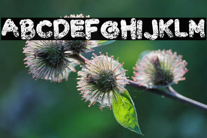 Chalk Scratches Rough Bold Example 2