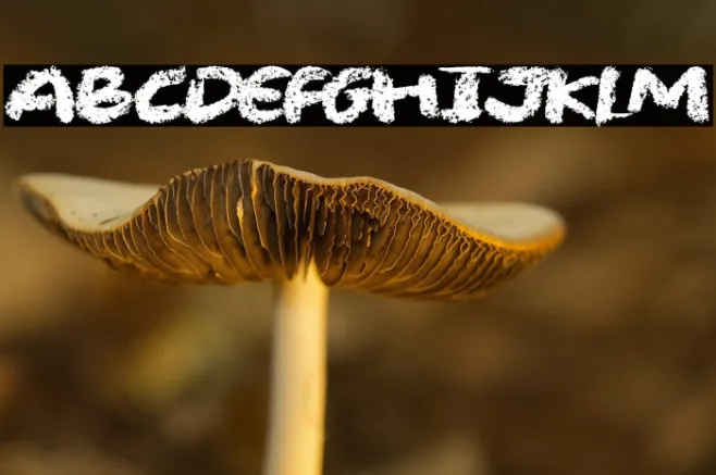 Chalk Stick Example 2