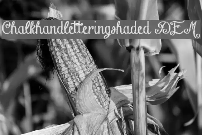 Chalk-hand-lettering-shaded DEM Font examples