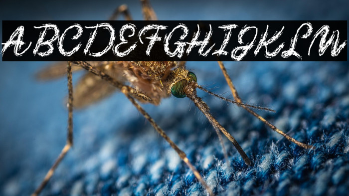 Chalk-y Brush Example 1