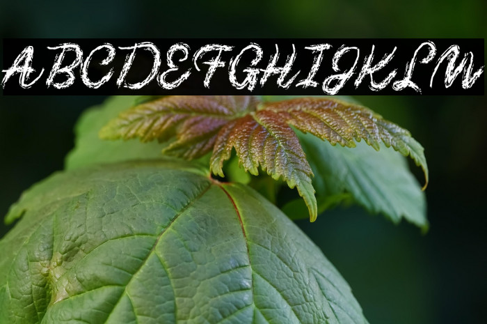 Chalk-y Brush Example 3