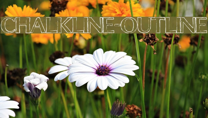 ChalkLine-Outline Font examples