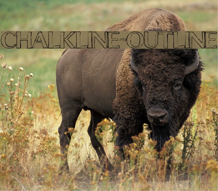 ChalkLine-Outline Font examples