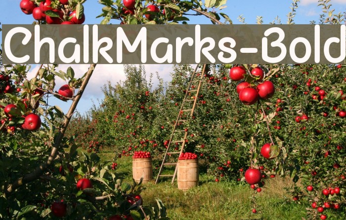 ChalkMarks-Bold Caratteri examples