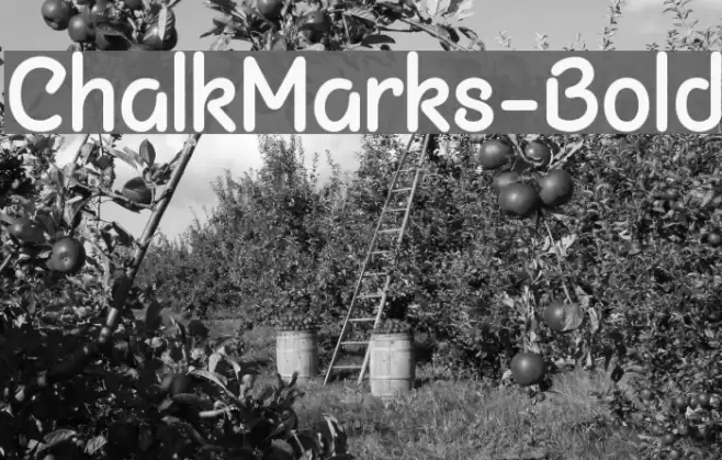 ChalkMarks-Bold Font examples