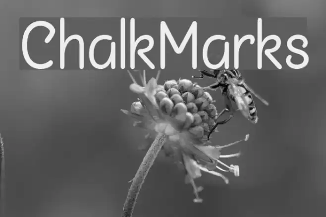 ChalkMarks Font examples