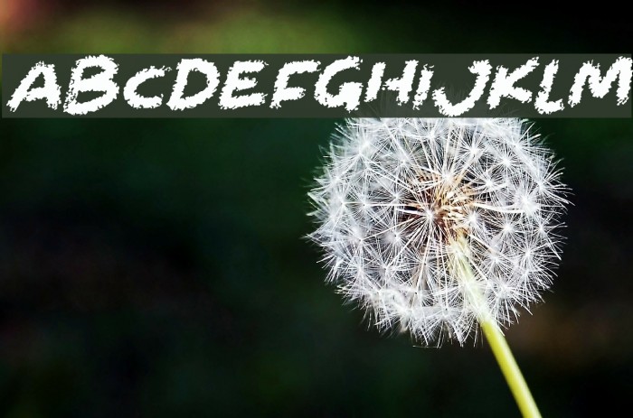Chalkabout Italic Font examples
