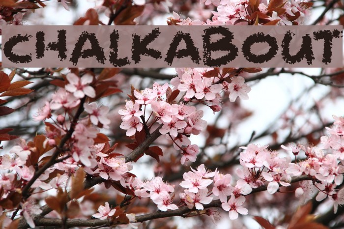 Chalkabout Font examples