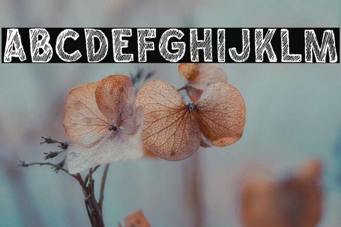 Chalkboy Regular Example 1