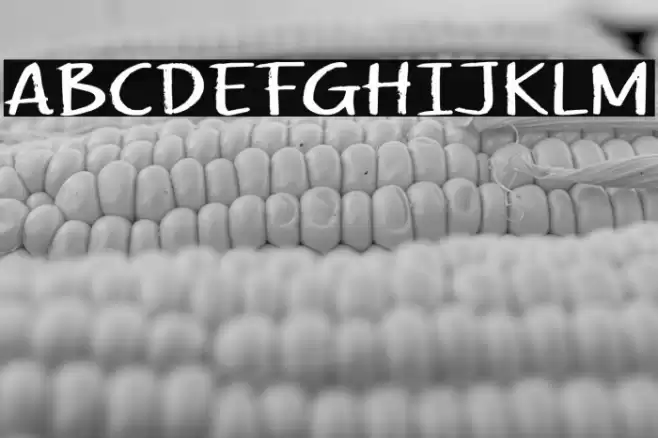 Chalkvibes Font examples