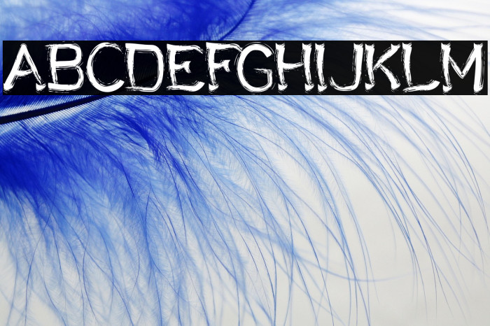 Chalky Bronson Example 2