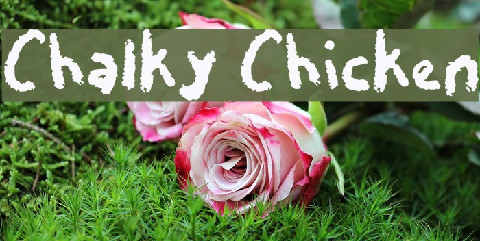 Chalky Chicken Font examples
