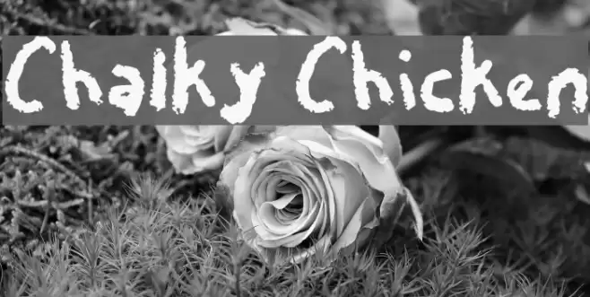 Chalky Chicken Font examples