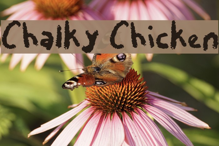 Chalky Chicken Font examples