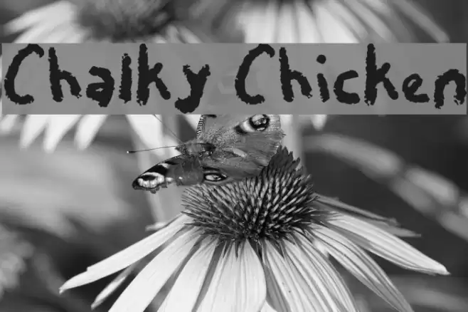 Chalky Chicken Font examples