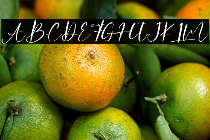 Challenge - Personal Use Example 1