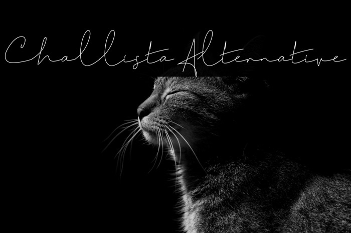 Challista Alternative Example 1