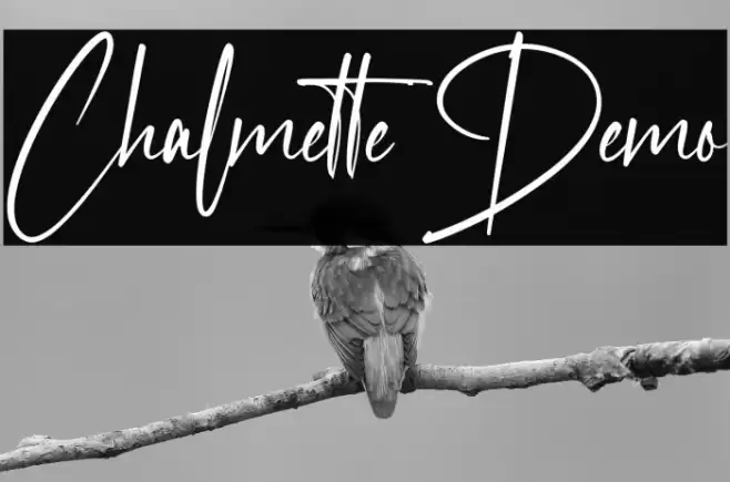 Chalmette Demo Font examples