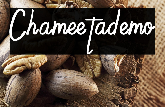 Chameetademo Example 1