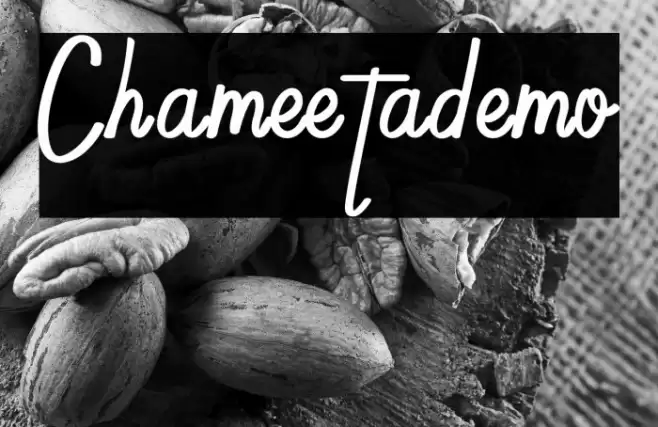 Chameetademo Font examples