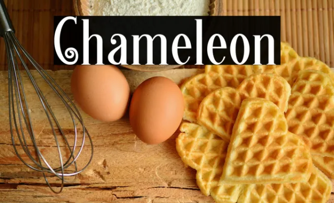 Chameleon Example 1