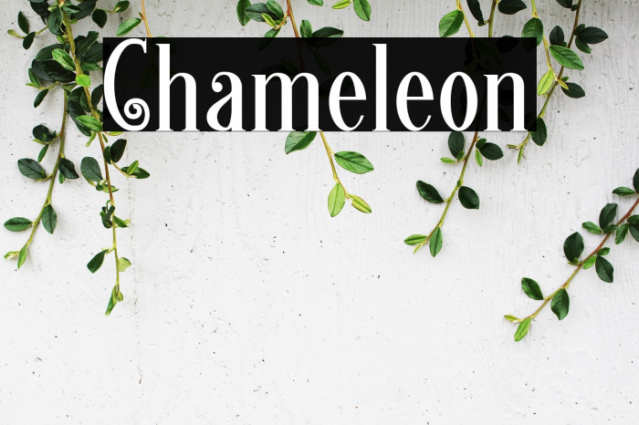 Chameleon Example 2