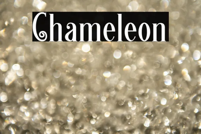Chameleon Example 3