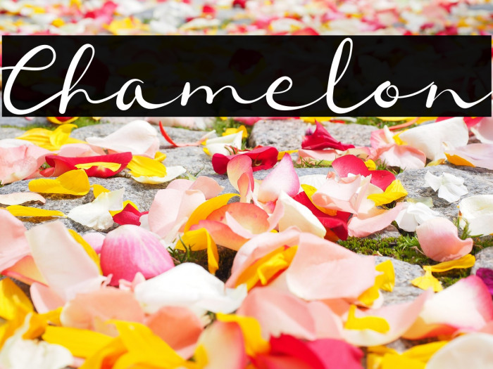 Chamelon Example 2