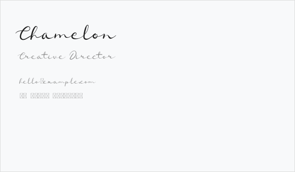 Chamelon Business Card